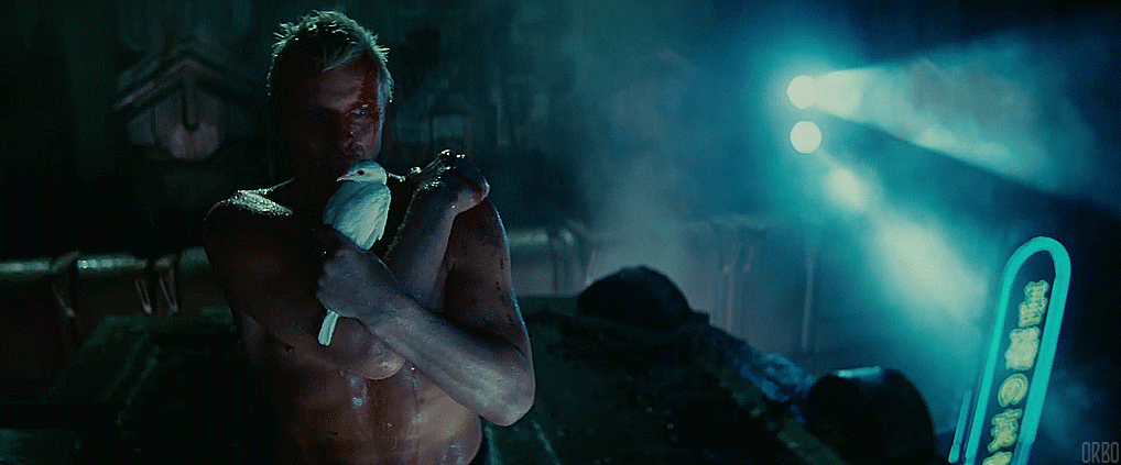 Dàn diễn viên Blade Runner sau 36 năm: Người vẫn chăm chỉ đóng phim, kẻ rửa tay gác kiếm từ lâu - Ảnh 4.