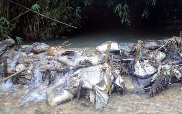 Bắt 2 người đàn ông đổ trộm dầu thải khiến nước sạch sông Đà bị ô nhiễm