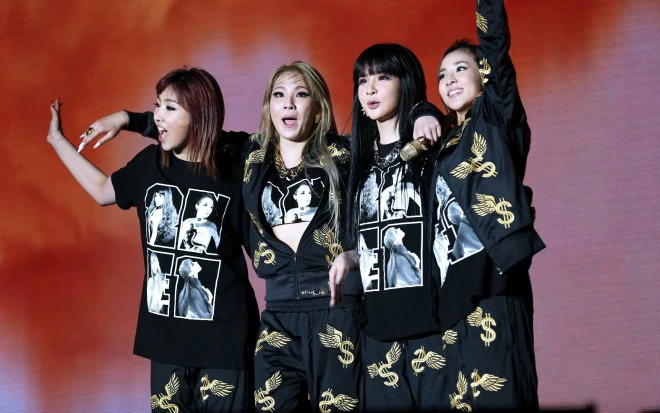 Girlgroup Kpop bị chính công ty hủy hoại: YG chê bai ngoại hình 2NE1, làm nhóm tan rã; T-ARA bị ép nhịn đói, ra đi vẫn bị đòi tên nhóm - Ảnh 12.