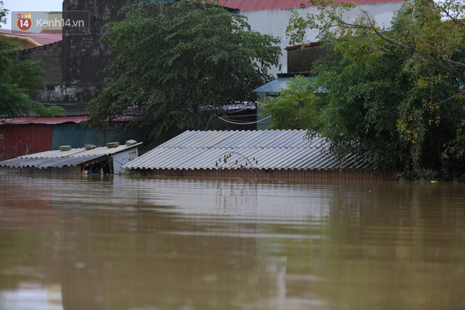 Hơn 2 tuần chịu trận lũ lịch sử, người dân Quảng Bình vẫn phải leo nóc nhà, bơi giữa dòng nước lũ cầu cứu đồ ăn - Ảnh 6.