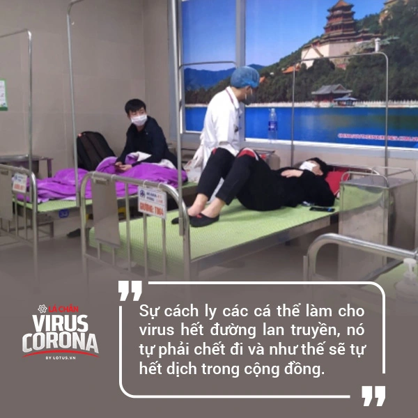 PGS.TS Nguyễn Huy Nga: Chúng ta tách nhau ra thì virus hết đường sống - Ảnh 3.