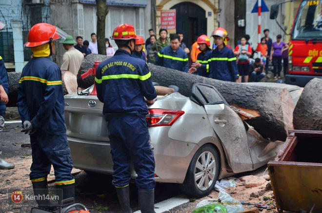 Hà Nội: Cây cổ thụ bật gốc vì mưa lớn, đè nát ô tô đậu trên vỉa hè - Ảnh 2.