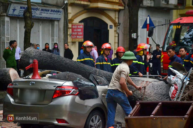 Hà Nội: Cây cổ thụ bật gốc vì mưa lớn, đè nát ô tô đậu trên vỉa hè - Ảnh 4.