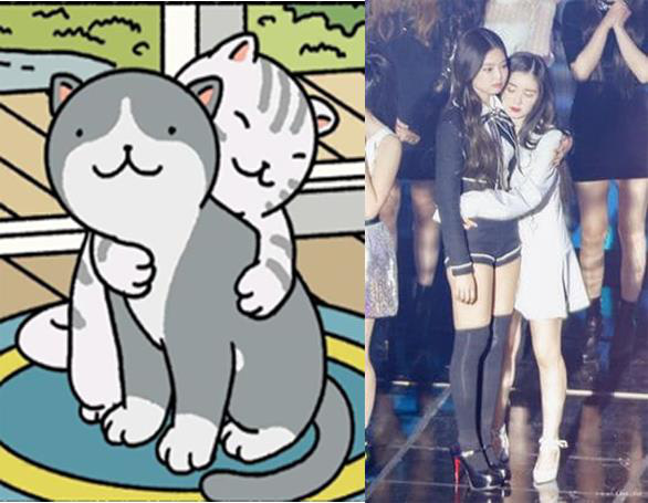 Những khoảnh khắc các chú mèo trong Adorable Home có thần thái chanh sả như học theo idol Hàn Quốc! - Ảnh 6.