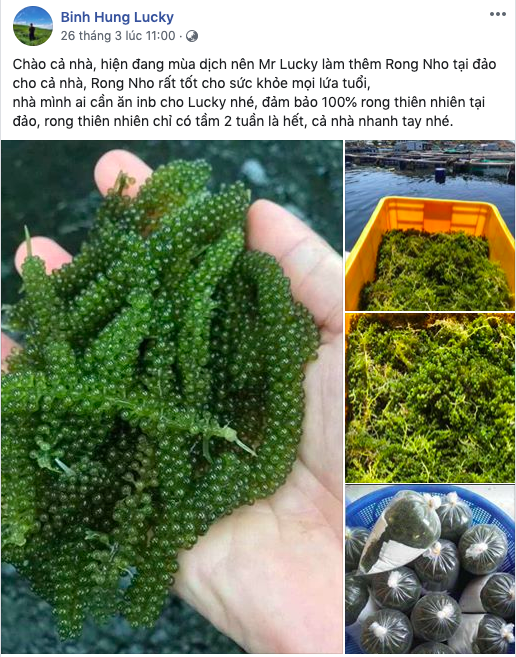 Nỗi lòng người làm du lịch mùa Covid-19: PGĐ công ty lữ hành… đi bán hàng online; dẫn tour, photo thu nhập đều bằng 0 suốt nhiều tháng trời - Ảnh 7.