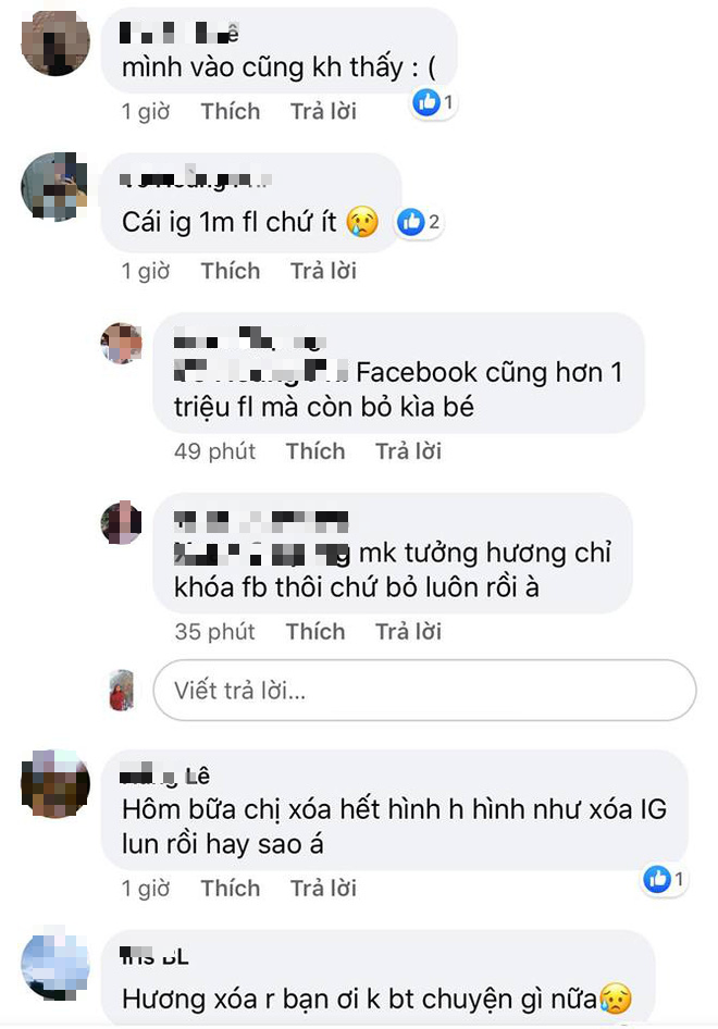 Phạm Hương gây hoang mang khi cho “bốc hơi” tài khoản cá nhân 1 triệu follow, lần này chị về “ở ẩn” thật rồi sao? - Ảnh 5.