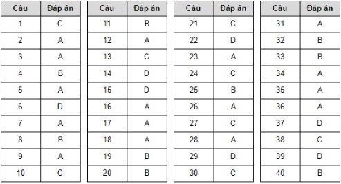 Đề thi minh họa THPT Quốc gia 2020 Môn Vật lý - Ảnh 5.