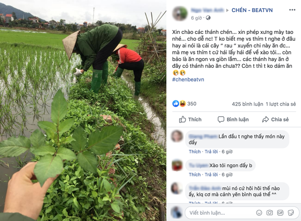 Ai cũng bất ngờ khi biết 3 cây hoa quen thuộc này hoá ra ăn được, lại còn là đặc sản của nhiều vùng - Ảnh 4.