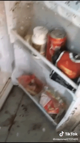 Vượt hơn 300 km từ quê lên, nữ sinh hãi hùng trước phòng trọ bẩn kinh hoàng, shock nhất là tủ lạnh như sắp bị sinh vật đen ngòm ăn trọn - Ảnh 2.