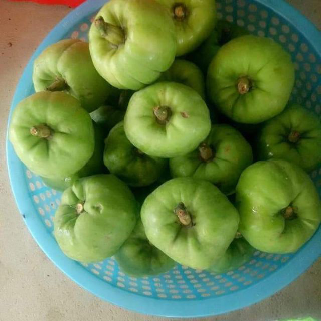 Tưởng là ổi nhưng hoá ra loại trái cây này đã khiến biết bao người nhầm lẫn, còn được xem là “cụ tổ” của các loại quả chua - Ảnh 4.