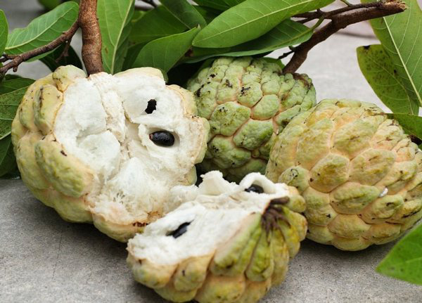Nhiều loại rau củ quả quen thuộc có cách gọi cực khác nhau giữa 3 miền, đọc một hồi kiểu gì cũng lú lẫn cho xem! - Ảnh 25.