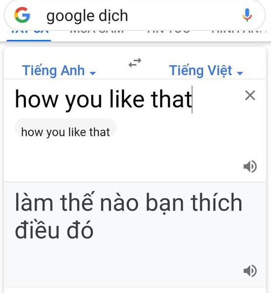 BLACKPINK đang yên lành gây bão toàn cầu thì bỗng dưng MisThy hỏi “How You Like That” nghĩa là gì, làm netizen lại “loạn xị ngậu” hết cả lên! - Ảnh 8.