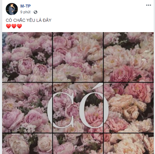 Miệt mài đăng 45 tấm ảnh hoa trong 5 ngày, cuối cùng Sơn Tùng M-TP cũng chốt tên ca khúc mới: Có Chắc Yêu Là Đây! - Ảnh 1.