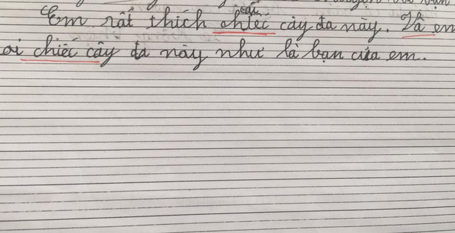 Chết cười với loạt văn tả cây của học sinh lớp 1, đến cô giáo cũng không ngờ trò lầy đến thế - Ảnh 4.