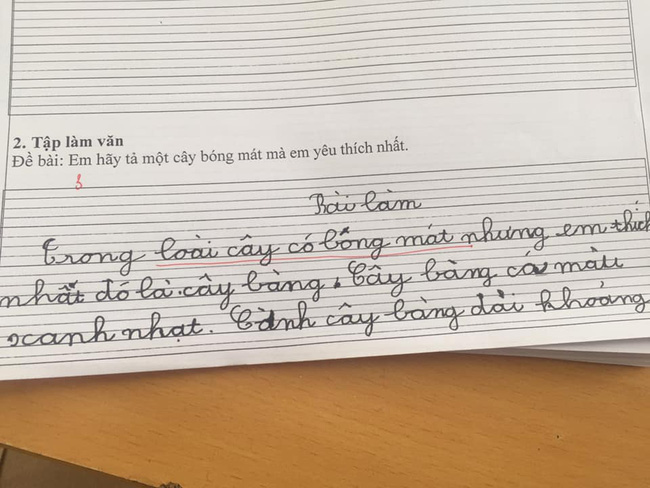 Chết cười với loạt văn tả cây của học sinh lớp 1, đến cô giáo cũng không ngờ trò lầy đến thế - Ảnh 2.