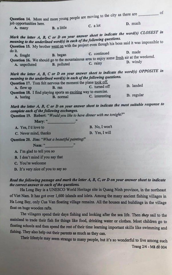 Đáp án đề thi tuyển sinh vào lớp 10 môn tiếng Anh 2020 Hà Nội - Ảnh 7.