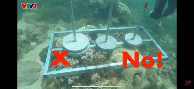 Ai bảo chỉ xả rác mới huỷ hoại môi trường biển, những hành vi vô ý này của du khách cũng có thể khiến đại dương kêu cứu - Ảnh 4.