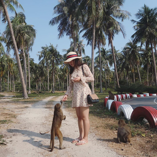 Có gì hay ở vịnh Lan Hạ? - Đảo ngọc Việt Nam được tài tử Leonardo DiCaprio “lăng xê” trên Instagram - Ảnh 14.