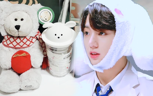 Fan Kpop đang ráo riết mua cốc Starbucks chó trắng siêu cute, lý do là gì?