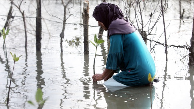 Việt Nam, Trung Quốc rồi Campuchia: Tại sao câu chuyện lũ lụt tại các quốc gia châu Á đang ngày càng trầm trọng? - Ảnh 5.