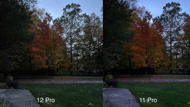 So sánh camera iPhone 11 Pro và iPhone 12 Pro - Ảnh 13.