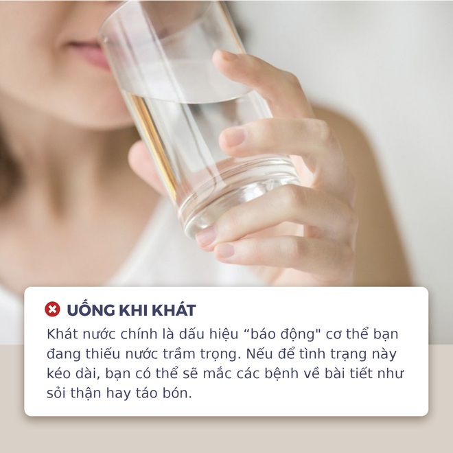 Những thời điểm vàng cần bổ sung nước tinh khiết trong ngày để cơ thể luôn có đủ năng lượng trong ngày hè oi nóng - Ảnh 1.