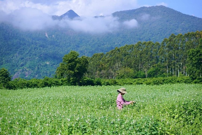 Đến thăm nhà và vườn của Bếp trên đỉnh đồi: Bỏ thành phố về quê sống phải chăng chỉ cần an yên như thế này? - Ảnh 17.