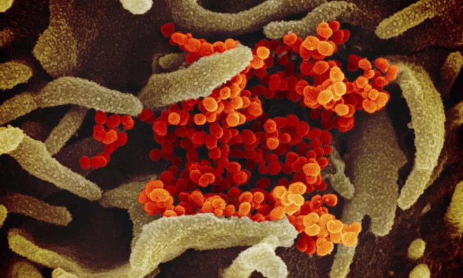 WHO công bố độ nguy hiểm của virus corona Covid-19: Không chết người bằng SARS, trên 80% bệnh nhân chỉ có triệu chứng nhẹ - Ảnh 1.