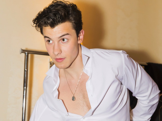 Shawn Mendes đã lên tiếng về tin đồn đồng tính, còn công khai bênh vực cộng đồng LGBT - Ảnh 4.