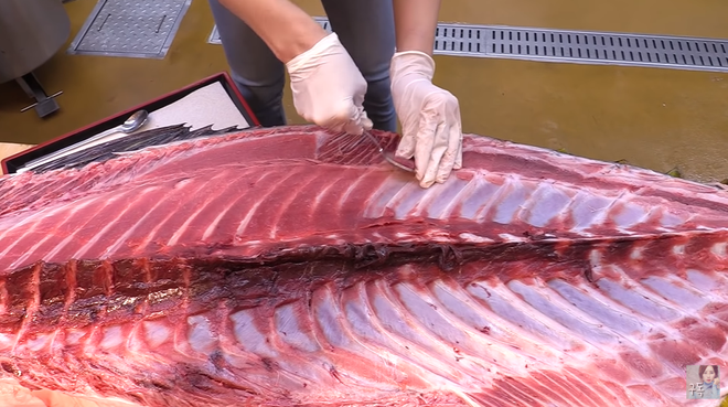 Youtuber Ssoyoung tìm ra chân ái khi mukbang cá ngừ: hóa ra phần sườn cá mới là tuyệt nhất - Ảnh 5.