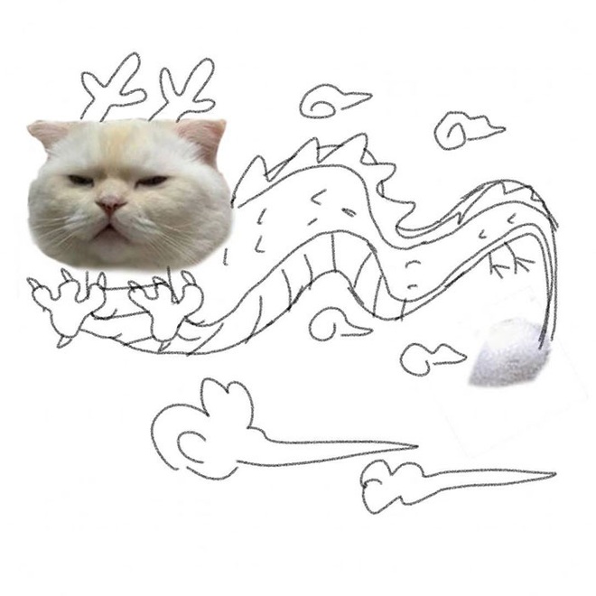 Ai đó yêu cầu vẽ một con mèo theo mẫu và cư dân mạng được dịp chơi tới bến cùng sự sáng tạo - Ảnh 10.