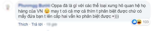 Dịch giả Parasite đau đầu vì từ oppa, fan Việt cà khịa sương sương: Mời anh sang học tiếng nước em! - Ảnh 4.