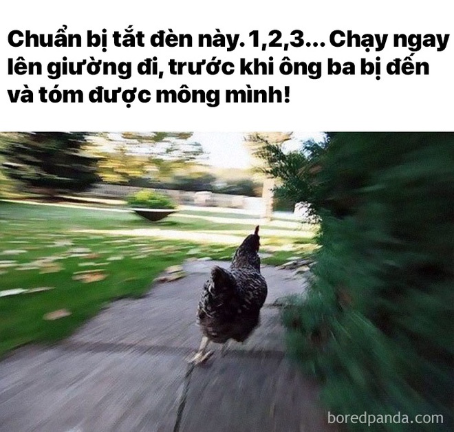 Nói thật đi: chắc chắn ngày bé bạn đã làm những việc này rồi, chỉ là không dám nhận thôi - Ảnh 7.