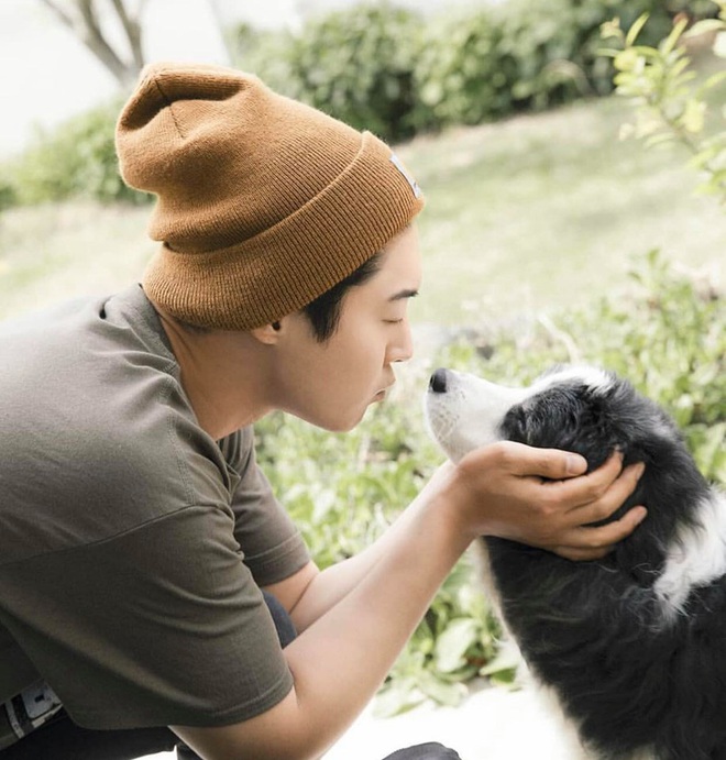 Kim Hyun Joong được báo Hàn khen vì ánh nhìn chú chó trìu mến, ai dè Knet “dội bom” vì phát hiện chi tiết gây tranh cãi - Ảnh 3.