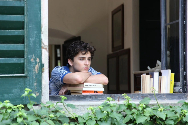 Call Me by Your Name có phần 2: Chú đẹp trai bỏ vợ về với hoàng tử trái đào Timothée Chalamet? - Ảnh 4.