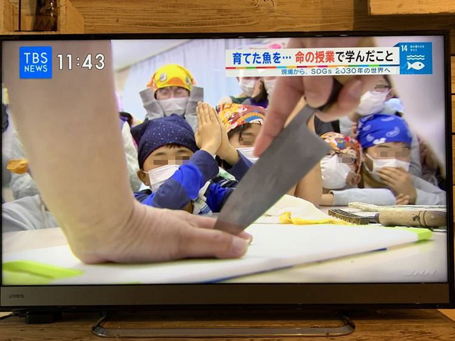 Lớp học ở Nhật gây phẫn nộ vì bắt học sinh giết mổ và ăn thịt con vật do chính tay mình nuôi - Ảnh 2.