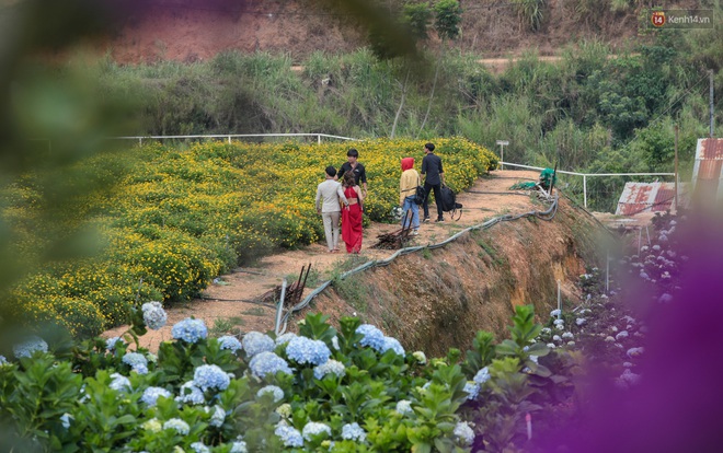 Du khách đổ xô về vườn hoa cẩm tú cầu đẹp nhất Đà Lạt để chụp ảnh dịp nghỉ lễ 30/4 - 1/5 - Ảnh 7.