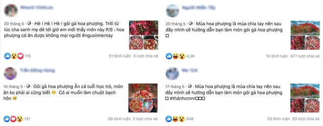 Ai cũng bất ngờ khi biết 3 cây hoa quen thuộc này hoá ra ăn được, lại còn là đặc sản của nhiều vùng - Ảnh 2.