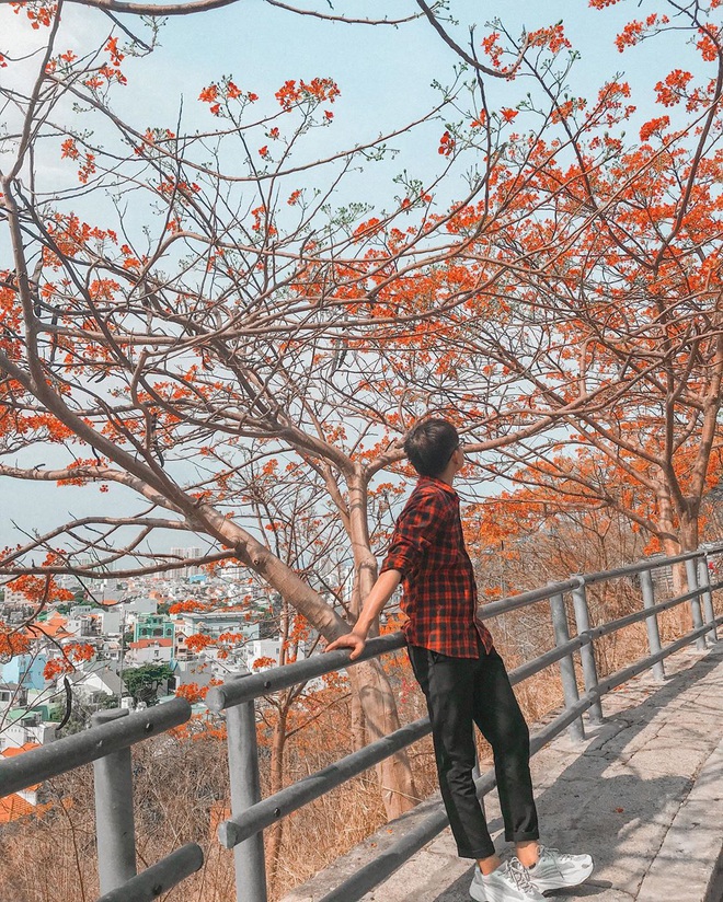 Ai cũng bất ngờ khi biết 3 cây hoa quen thuộc này hoá ra ăn được, lại còn là đặc sản của nhiều vùng - Ảnh 1.