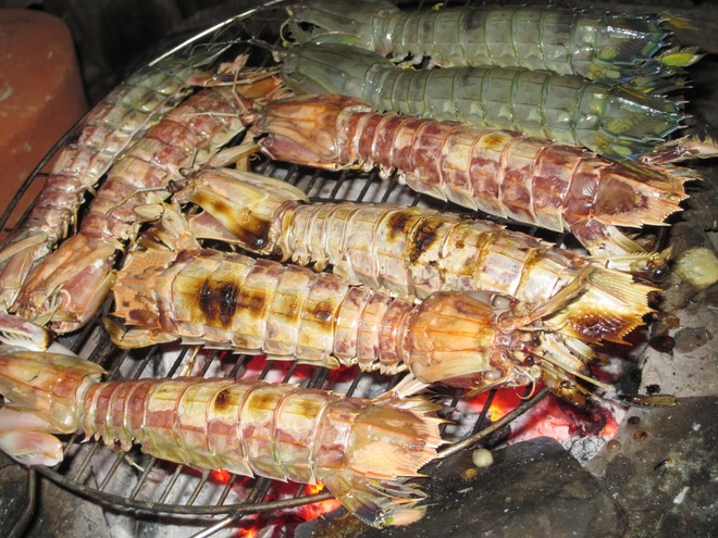 Những món hải sản ở Việt Nam tưởng quen thuộc lại được sách kỷ lục vinh danh, có loại mới nhìn thôi đã thấy rùng mình không dám ăn - Ảnh 13.