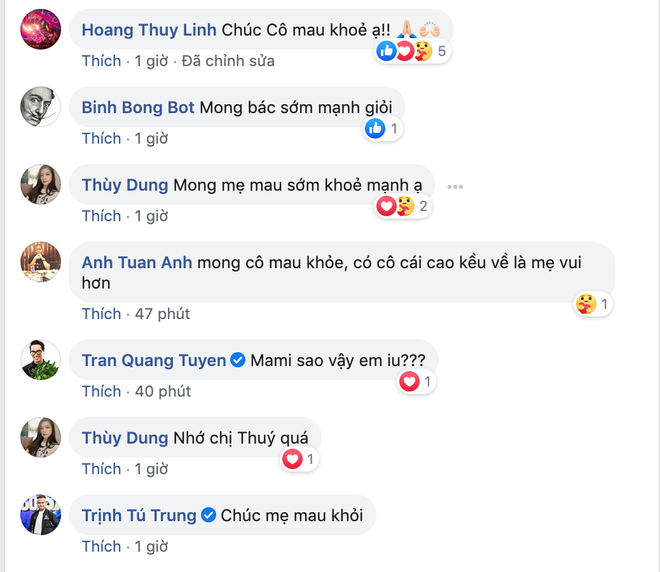 Mẹ Mai Phương Thuý bất ngờ nhập viện cấp cứu, Hoàng Thuỳ Linh và nhiều sao Việt gửi lời hỏi thăm - Ảnh 3.