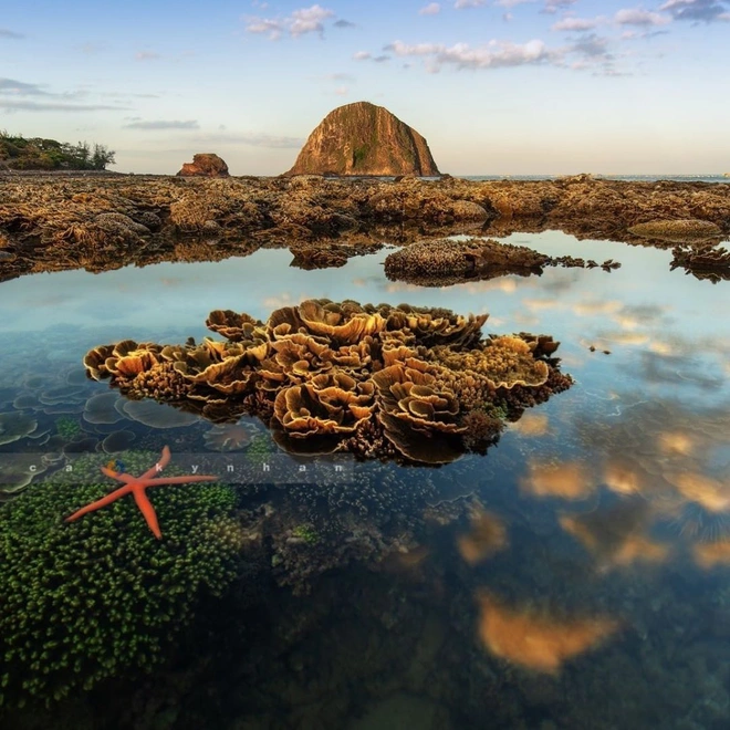 Mấy ai biết Việt Nam có một hòn đảo san hô với vẻ đẹp “siêu thực” thế này, xem ảnh mà cứ ngỡ đâu nước ngoài xa xôi - Ảnh 14.