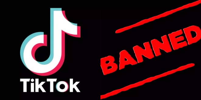 Dù đang là ứng dụng must-have của giới trẻ toàn cầu, TikTok lại vừa bị cấm tại Ấn Độ - Ảnh 4.