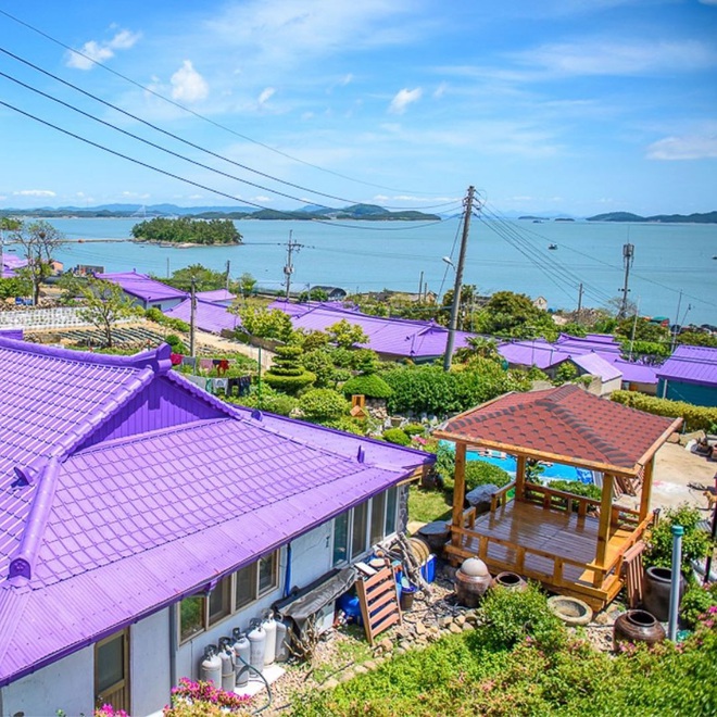 Một hòn đảo kỳ lạ vừa xuất hiện ở Hàn Quốc đã tạo cơn bão check-in trên MXH: Tất cả mọi thứ đều nhuốm màu “tím lịm tìm sim” - Ảnh 5.