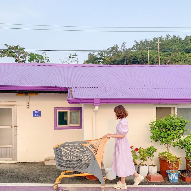 Một hòn đảo kỳ lạ vừa xuất hiện ở Hàn Quốc đã tạo cơn bão check-in trên MXH: Tất cả mọi thứ đều nhuốm màu “tím lịm tìm sim” - Ảnh 26.