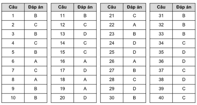 Đáp án đề thi tuyển sinh vào lớp 10 môn tiếng Anh 2020 Hà Nội - Ảnh 10.