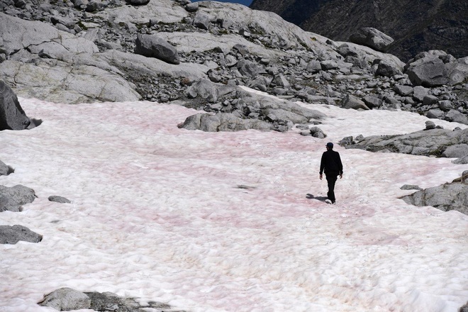 Băng hồng bí ẩn bất ngờ xuất hiện trên đỉnh núi cao nhất châu Âu khiến khoa học rất lo sợ về hệ quả kinh khủng sẽ xảy ra - Ảnh 1.