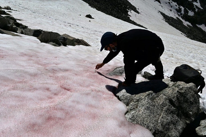 Băng hồng bí ẩn bất ngờ xuất hiện trên đỉnh núi cao nhất châu Âu khiến khoa học rất lo sợ về hệ quả kinh khủng sẽ xảy ra - Ảnh 2.