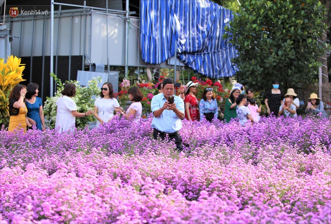 Dân tình chen chúc sống ảo tại vườn hoa thạch thảo đẹp lịm tim lần đầu được trồng ở Đà Nẵng - Ảnh 8.