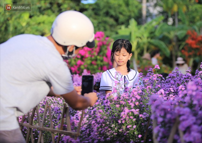 Dân tình chen chúc sống ảo tại vườn hoa thạch thảo đẹp lịm tim lần đầu được trồng ở Đà Nẵng - Ảnh 11.